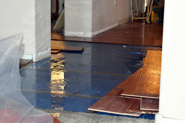 Professional Burst Pipe Cleanup technician working in Junction City, OR
