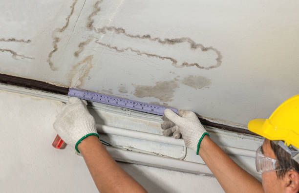Reliable Burst Pipe Cleanup contractor in Junction City, OR by Water Damage Irwin